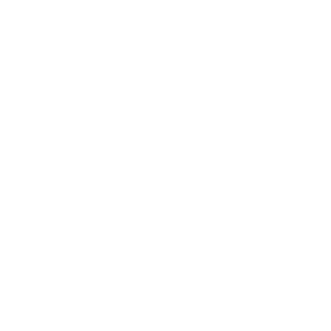 LOGO-SASA-BLANC