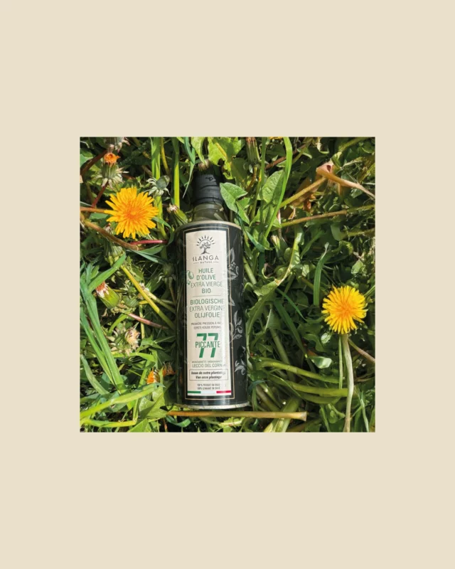 L’Huile d’Olive Extra Vierge Piquante OLIO SASA apporte une touche intense et légèrement piquante qui fait toute la différence.

Parfaite sur une salade, des pâtes ou une bruschetta croustillante.
100% naturelle, extraite à froid, elle garde toute sa fraîcheur et son goût authentique.

👉 Et vous, dans quel plat l’essayerez-vous ?

#oliosasa #huiledolive #olive #piquante