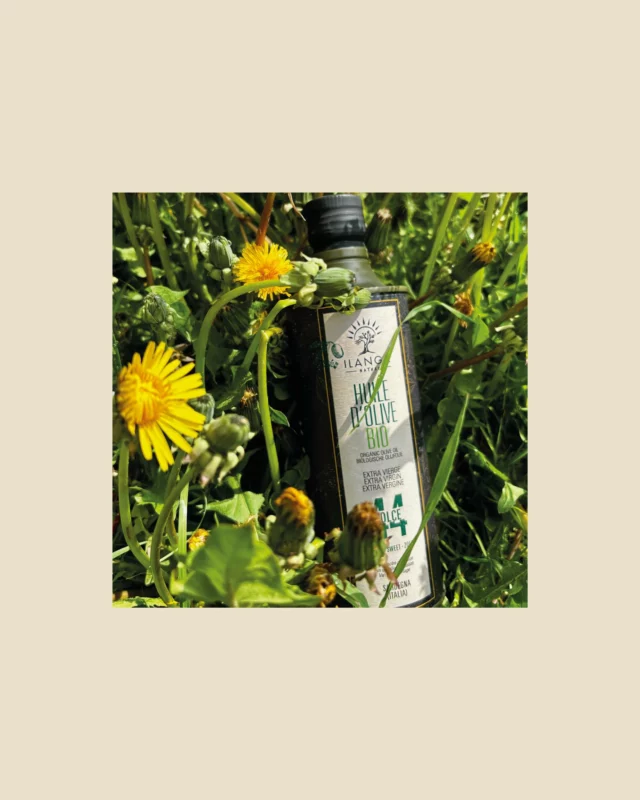 🫒 Olio Sasa – Huile d’Olive Extra Vierge Douce

Pourquoi vous allez l’adorer :
- Pressée à froid à partir d’olives soigneusement sélectionnées.
- Saveur douce et équilibrée, idéale pour relever vos plats sans les masquer.
- Parfaite sur les salades, légumes grillés, pâtes ou simplement sur du pain frais.
- Riche en antioxydants naturels et en saveurs méditerranéennes.

💡 Astuce dégustation : Ajoutez un filet d’Olio Sasa sur vos plats juste avant de servir pour préserver tous ses arômes délicats.

👉 Commandez dès maintenant et goûtez la différence !